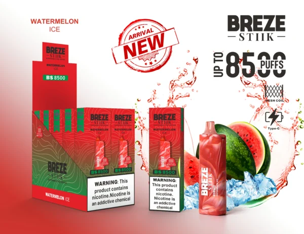 BREZE STIIK BS8500 8500 Puffs 12 échelles